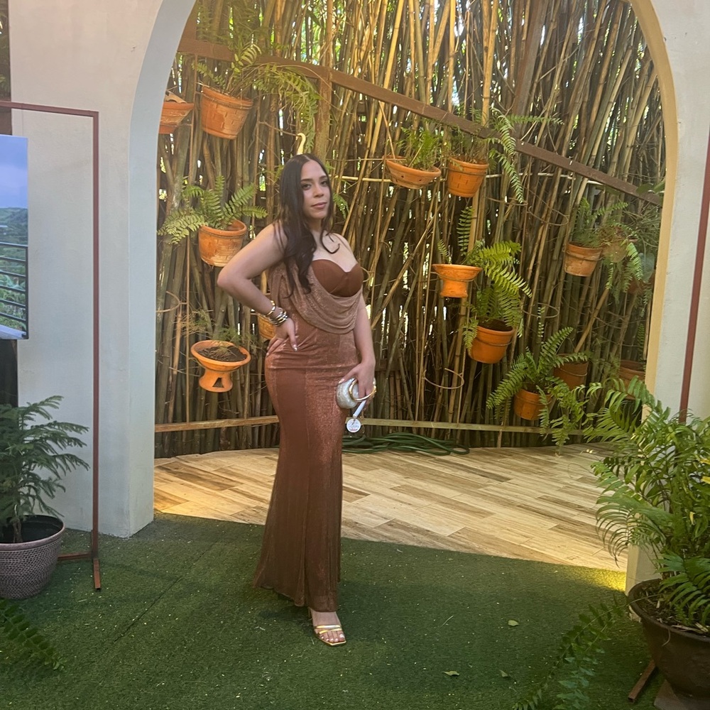 J lux label Elegant Brown Evening Gown